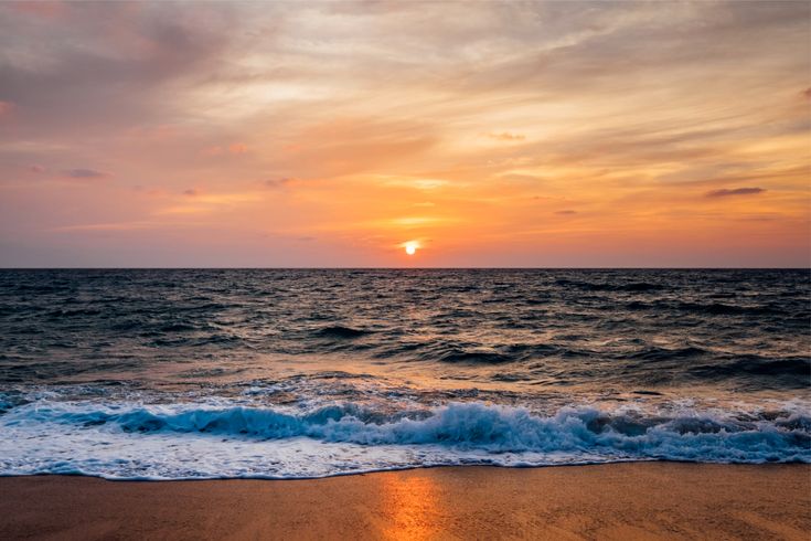 Unwind in Goa Family Retreat